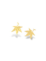 Maple Leaf Studs