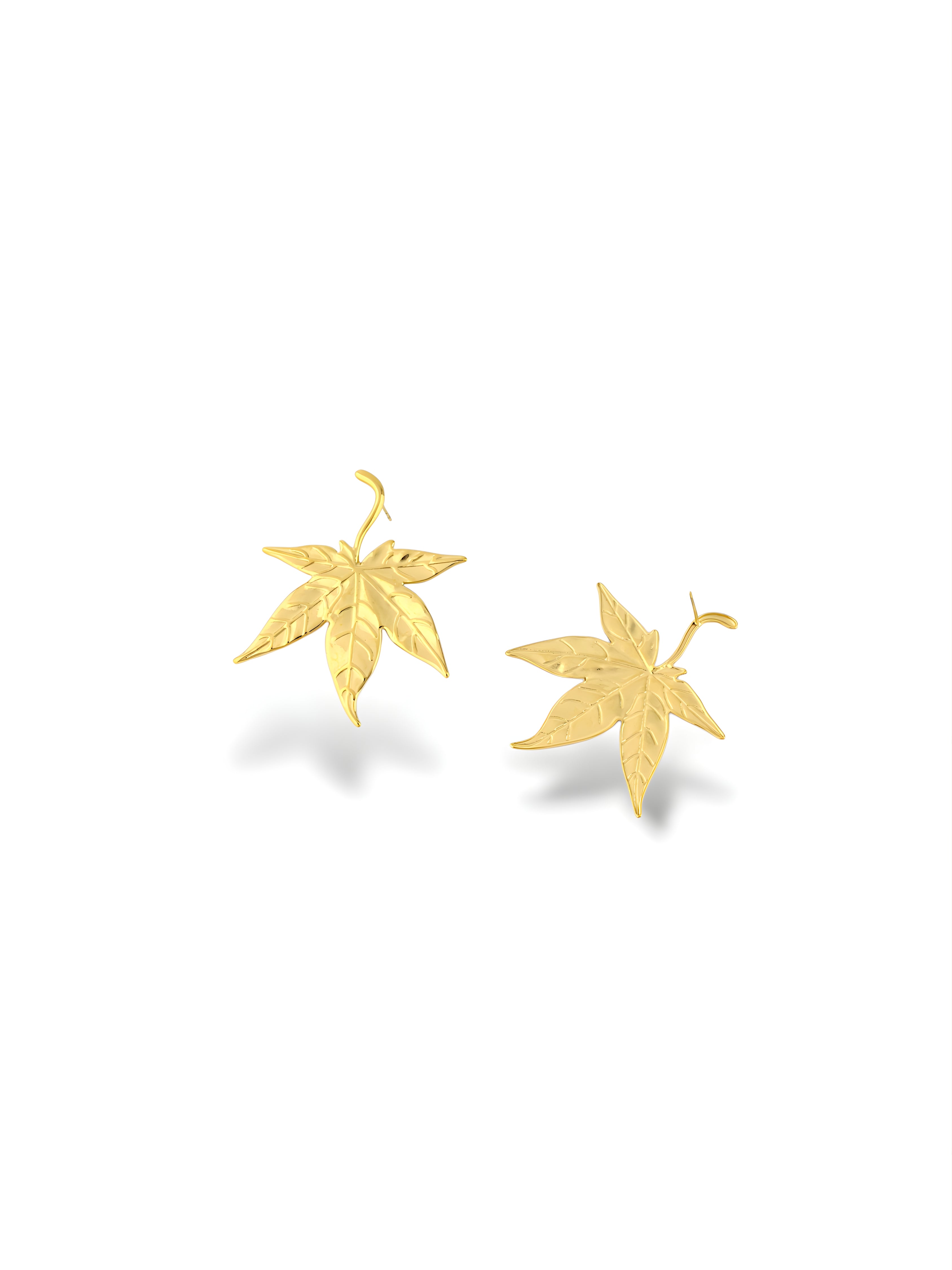 Maple Leaf Studs