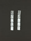 Twin Star Earrings