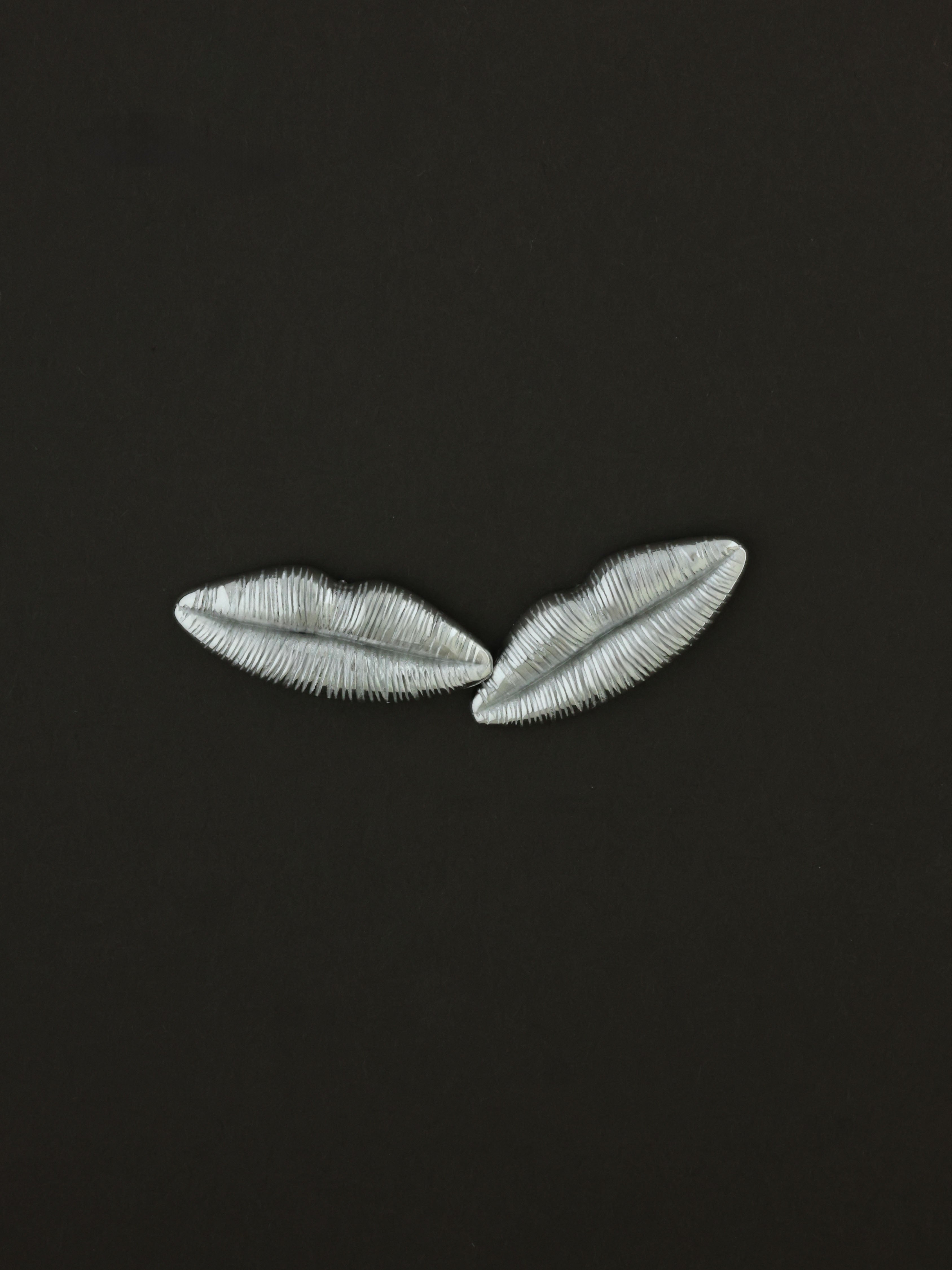 Muse Lip Earrings
