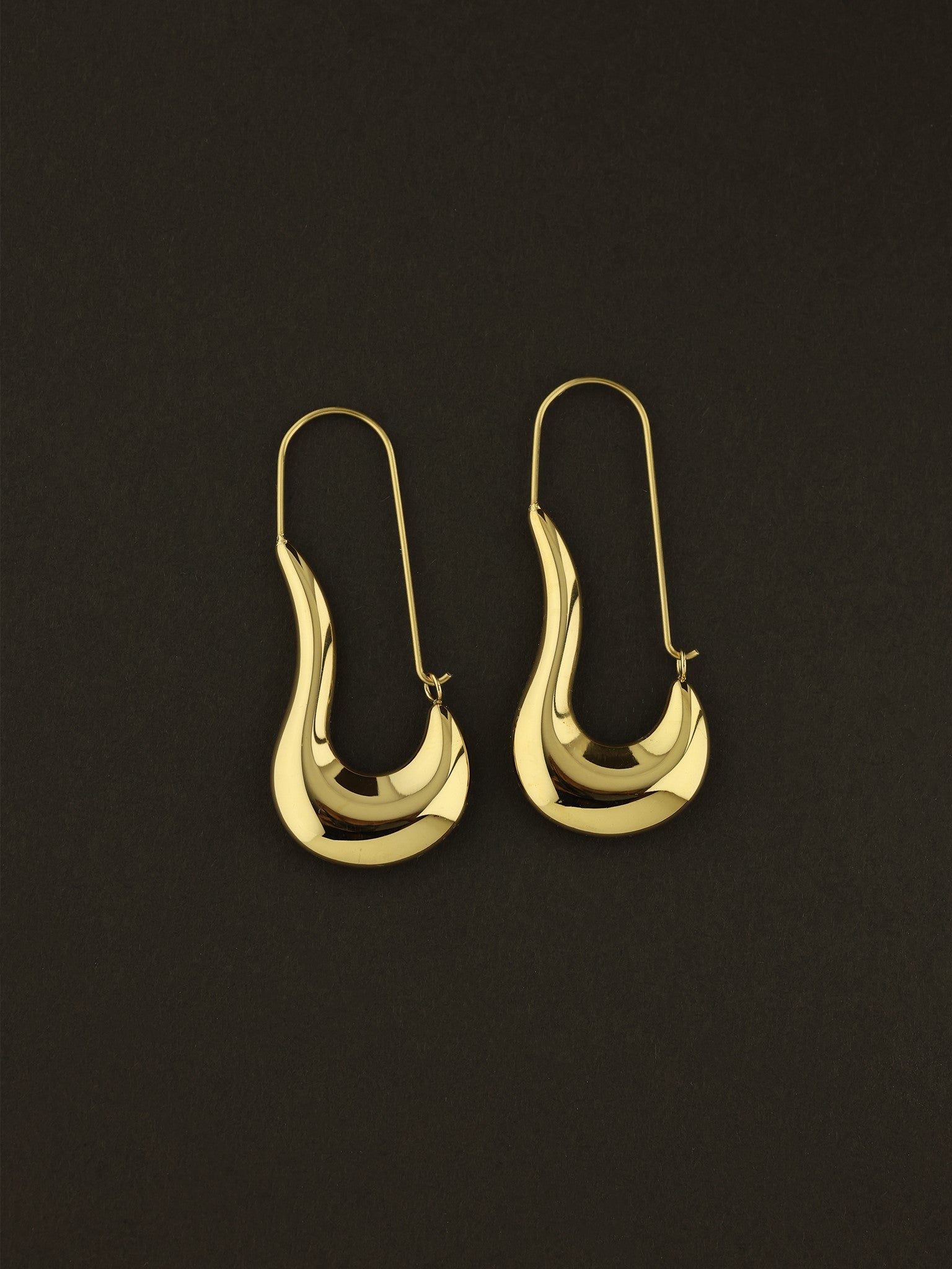 Curved Horn Dangle Earrings