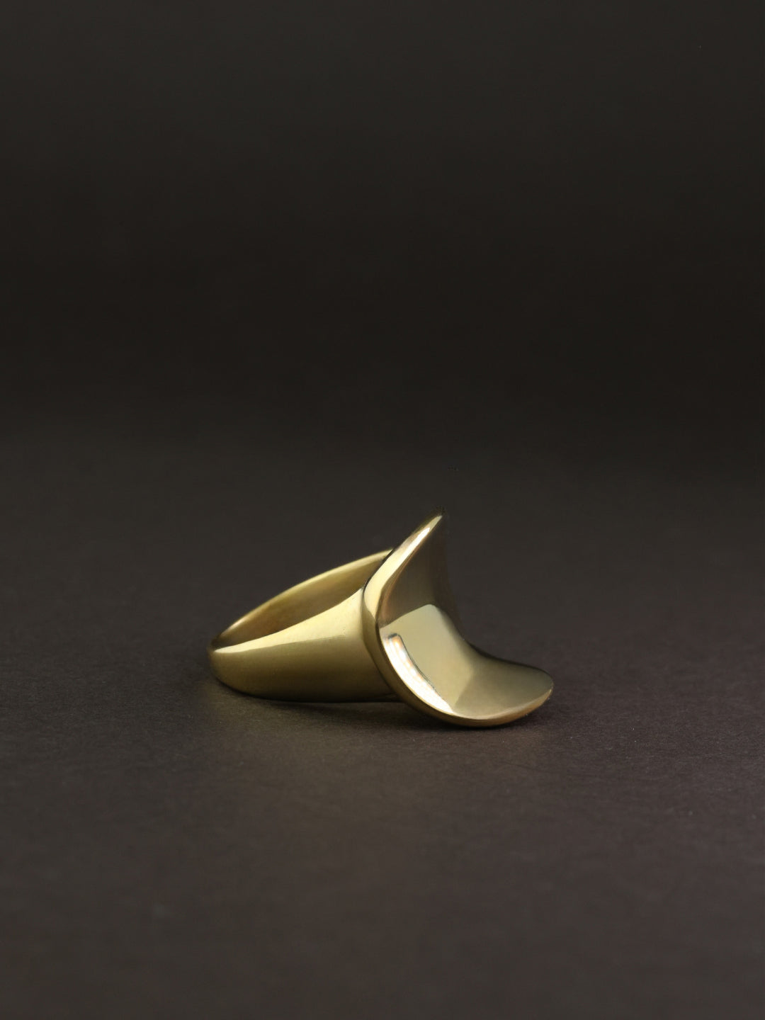 Modernist Facet Ring