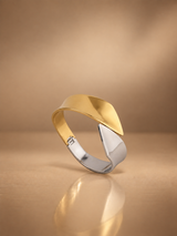 Vinea Duo Color Bangle