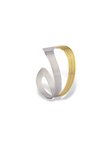 Unique Twin Double Band Adjustable Bangle