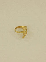 Velocity Arch Ring