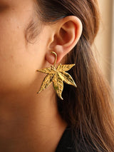 Maple Leaf Studs