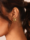Spiral Shell Earring