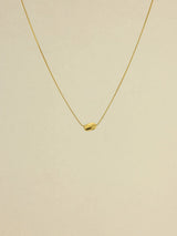 Golden Synergy Collection