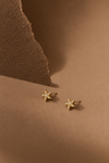 Twirl Star Studs